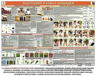 Служебное коневодство (6 плакатов 100х70) по ФГОС купить по низким ценам в г. Москва