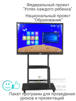 Интерактивный программно-аппаратный комплекс мобильный Stark Baikal  55" c  OPS (Core i5) 